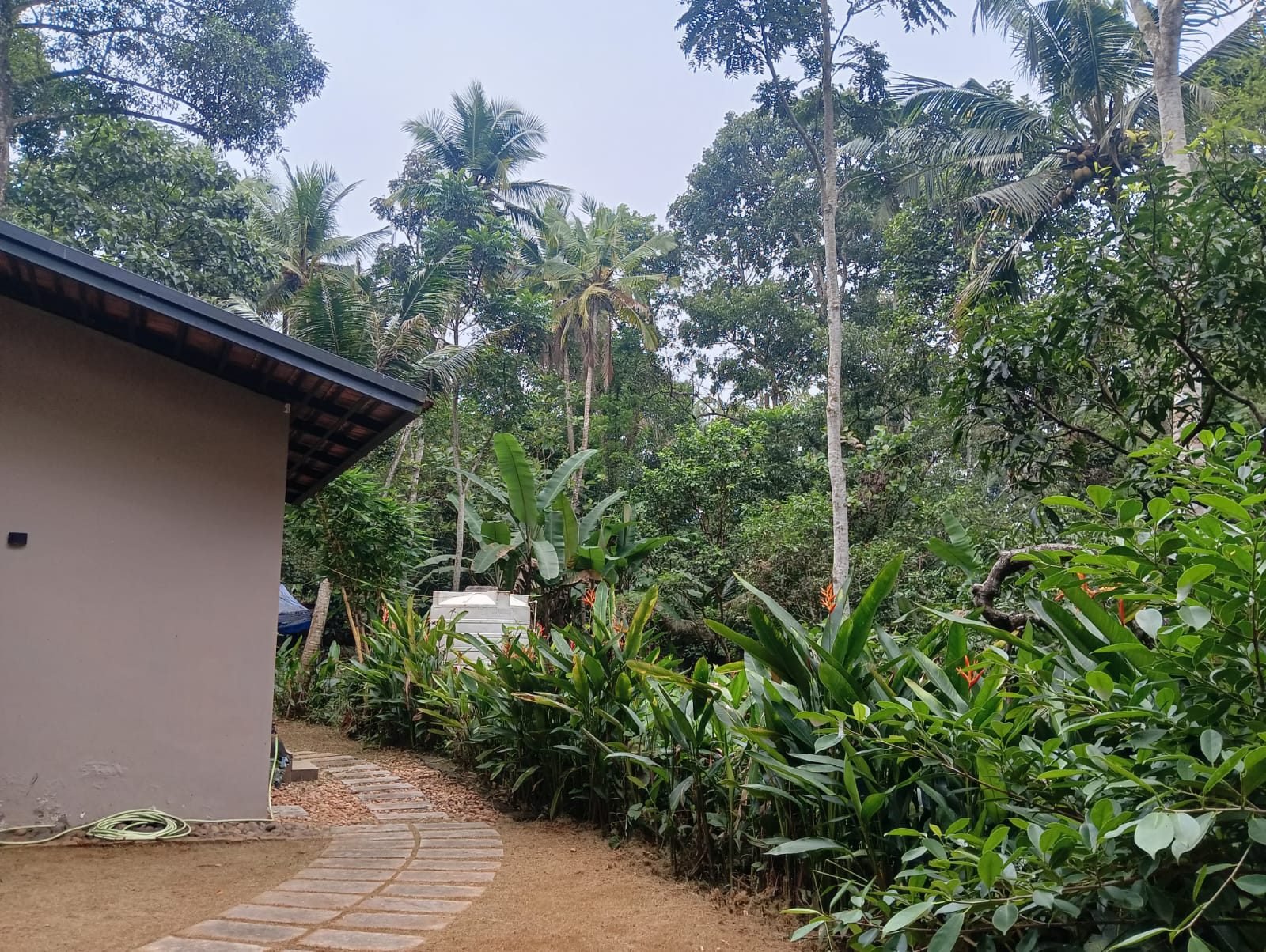 Garden pathway